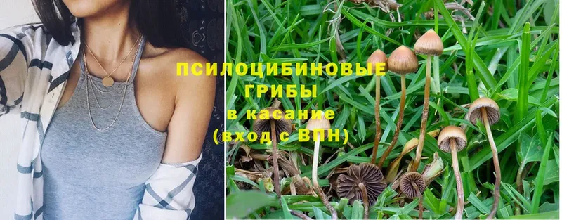 мега ССЫЛКА  Берёзовский  Псилоцибиновые грибы Magic Shrooms 