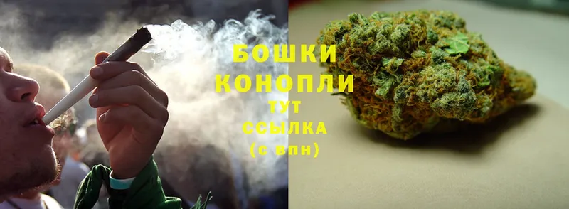 Бошки Шишки конопля  Берёзовский 